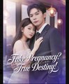 Fake Pregnancy True Destiny  - Full Movies English Sub