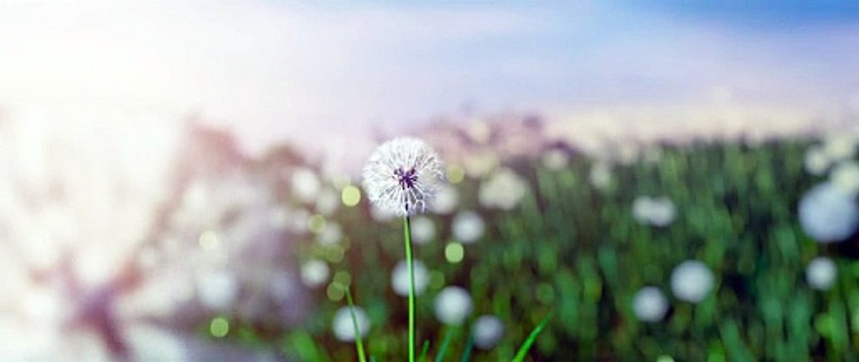 Holy Night - Demon Hunter