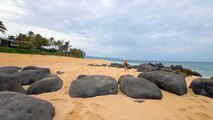 4K Virtual Walk along Sunset Beach, Oahu, Hawaii