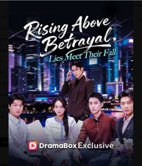 Rising Above Betrayal, Lies Meet Their Fall Chinese Drama - English Sub