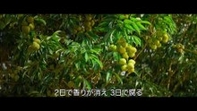 映画『長安のライチ』