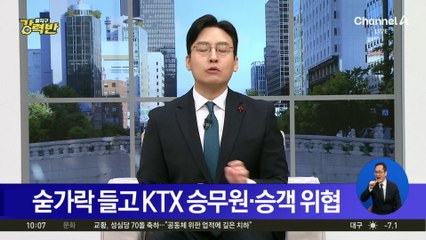 숟가락 들고 KTX 승무원·승객 위협