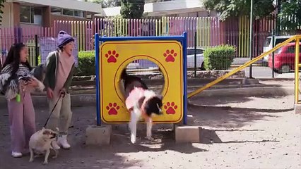 La Rosa de Guadalupe: Capítulo completo "Amor y compañía" Dic 12/2025