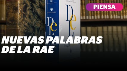 La RAE actualiza el diccionario: estas son las nuevas palabras oficiales | Reporte Indigo