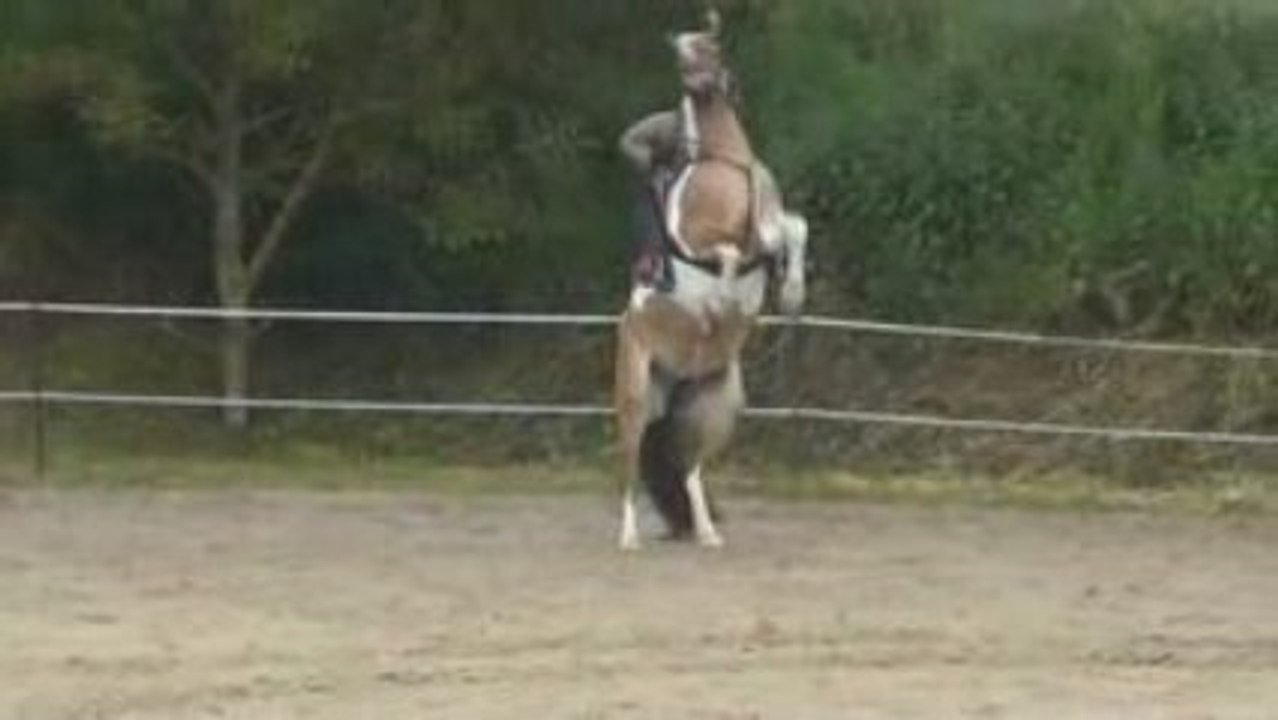 saloprie de poney !!!