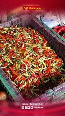 Tinjauan Harga Bahan Pokok di Kota Makassar di Awal Tahun 2026