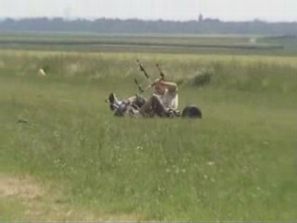 Francois buggy