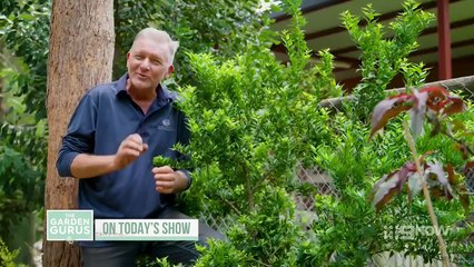 The Garden Gurus Season 39 Episode 16