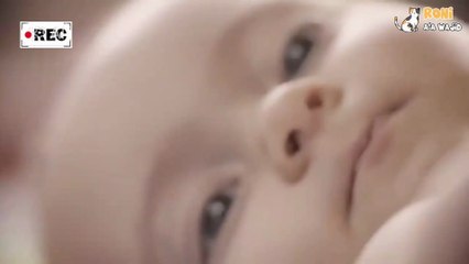 👶 Dalam perlombaan awal kehidupan, tidak semua embrio manusia berhasil berkembang.   Hanya sebagian kecil yang bertahan dan tumbuh jadi janin sehat. Faktor genetik, lingkungan rahim, dan seleksi alami berperan besar dalam menentukan siapa yang "lolos"