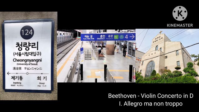 Beethoven: Violin Concerto in D, 1st mvt (Cover)