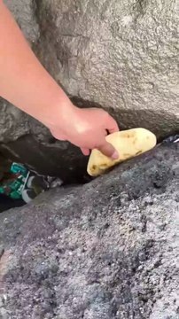 They discover stones of gold and diamonds يكتشفون احجار من الذهب والماس