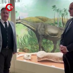 Tuzluca’da bulunan 30 milyon yıllık dev gergedan fosili, MTA Tabiat Tarihi Müzesi’nde