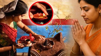 Paush Purnima Tulsi Puja 2026:पौष पुर्णिमा पर तुलसी पूजा नियम,जल चढ़ाना चाहिए,पत्ते तोड़ सकते है ?