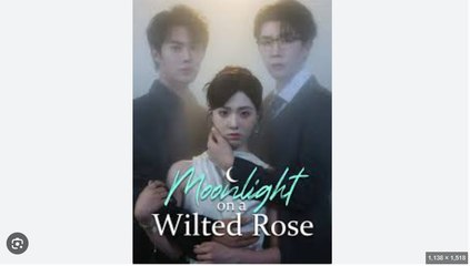 Moonlight on the Wilted Rose Chinese Drama - English Sub