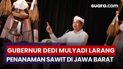 Gubernur Dedi Mulyadi Larang Penanaman Sawit di Jawa Barat Mulai 2026