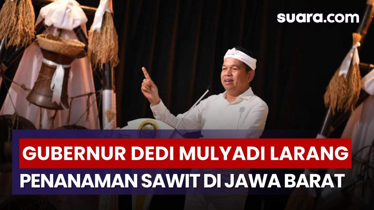 Gubernur Dedi Mulyadi Larang Penanaman Sawit di Jawa Barat Mulai 2026