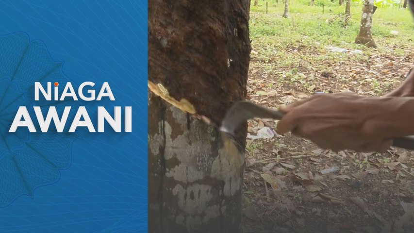 LGM aktifkan insentif pengeluaran getah bagi Dis 2025