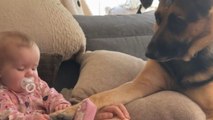 Little girl gives her German Shepherd a pawdicure during family time