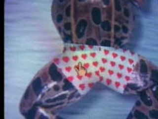 Alicia Silverstone Says 'Cut Out Dissection!'
