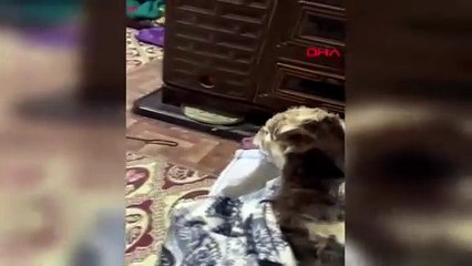 Buz gibi havada yüreklerimizi ısıtan haber: Dondurucu soğukta doğunca soba yanına taşındı!