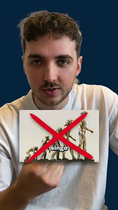 L'homme ne descend pas du singe ! #homme #singe #evolution #animaux #nature