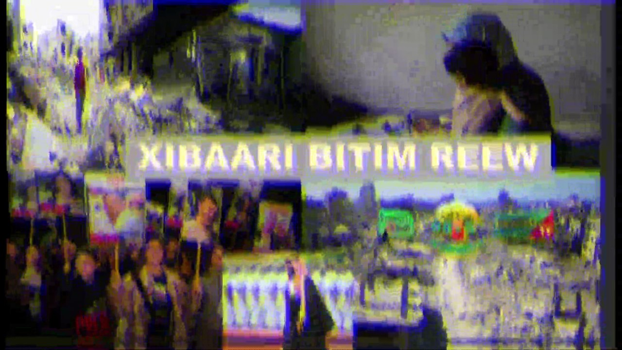 XIBAARI INTERNATIONNAL YI 31