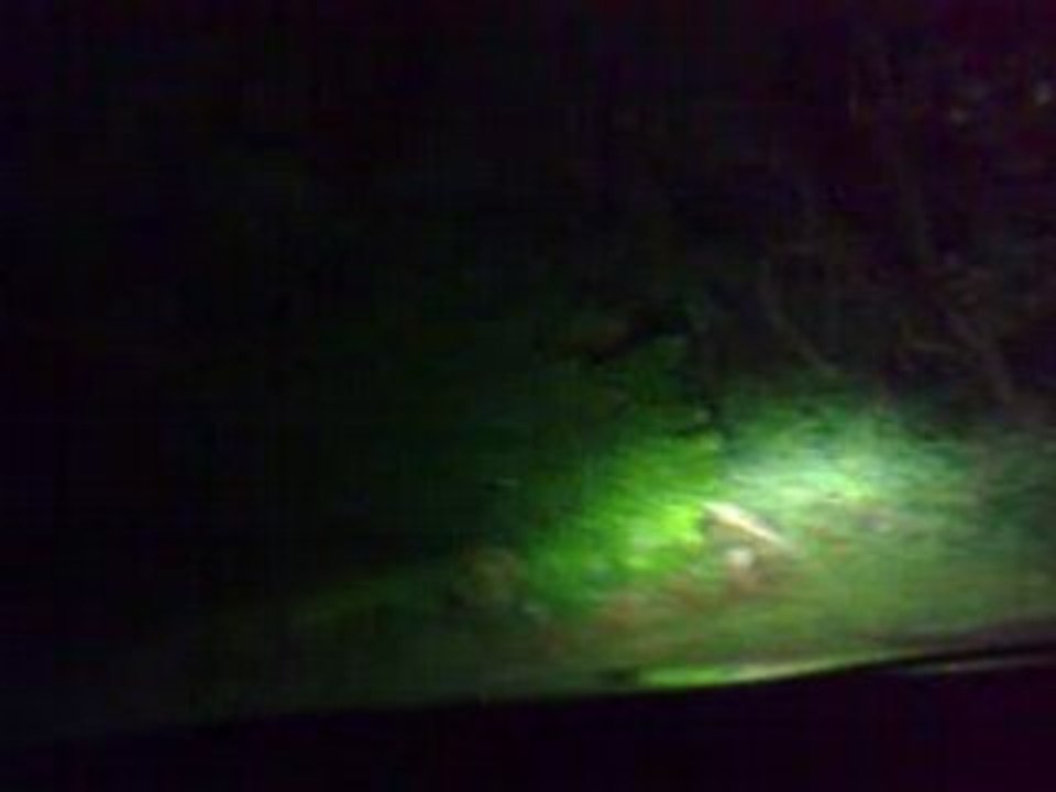 Bapteme 325i pour Faycel lol