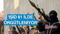 Hale Gönültaş: Militanların örgütü kötülemesi normal çünkü IŞİD 'caiz' dedi!