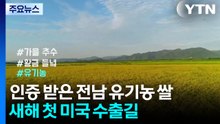 [네트] 인증 받은 전남 유기농 쌀...새해 첫 미국 수출길 / YTN