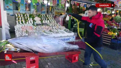 Samsun'da 353 kiloluk dev orkinos şaşırttı, gören telefona sarıldı