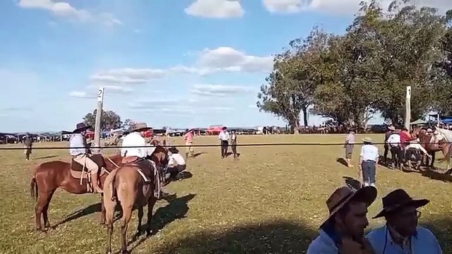 Jineteadas en pelo en el Ruedo Roberto Artigas de Zapicán - 1 de 2 - Lavalleja, Uruguay 04/01/2026