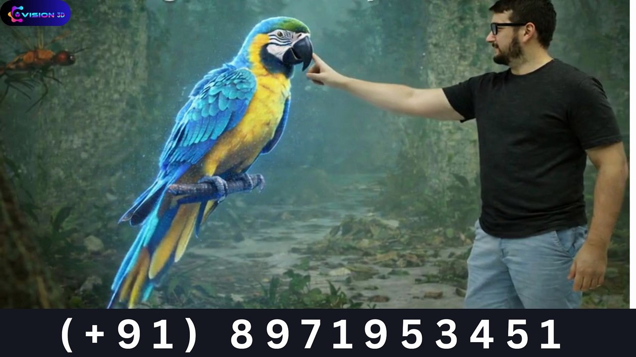 Hologram Zoo Setup in India – Build Your 3D Virtual Zoo in association with Vision 3D.