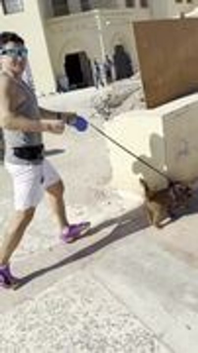 Man Running With Dog Collides With Fence Barrier