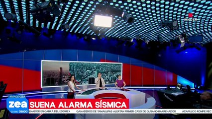 Se reporta sismo de magnitud 6.5 al suroeste de San Marcos, Guerrero
