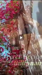 The Secret Recipe To Snatch A Billionaire (2025) - #FullVision - loambition