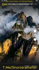 My Cook Father is A Martial Master netshort