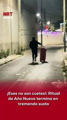 😅🎆 Un joven intentó realizar el tradicional ritual de Año Nuevo de salir a correr con una maleta para atraer viajes y buena suerte… pero la noche no salió como esperaba.