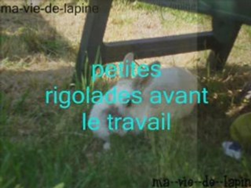 Fripon et blanche neige