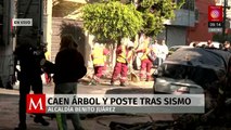 Caen árbol y poste tras sismo en la alcaldía Benito Juárez