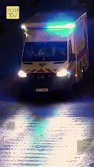 Boss, Your Executive Secretary Has Resigned Isode