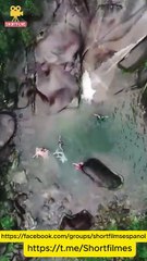 Ojos Divinos, Reino Urbano en español