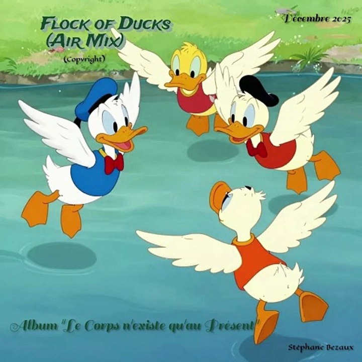 FLOCK OF DUCKS (AIR MIX)