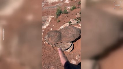 Million Years Old Dinosaur Poop Discovered