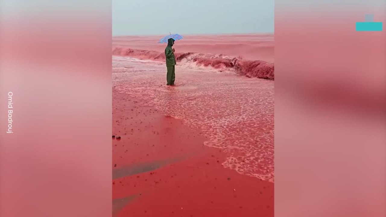 Incredible Sight as Red Rain Turns Shoreline Blood-red