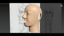 Flame: 3DS MAX Practice Polygon Modeling Head Model Video #84 (01-02-2026)