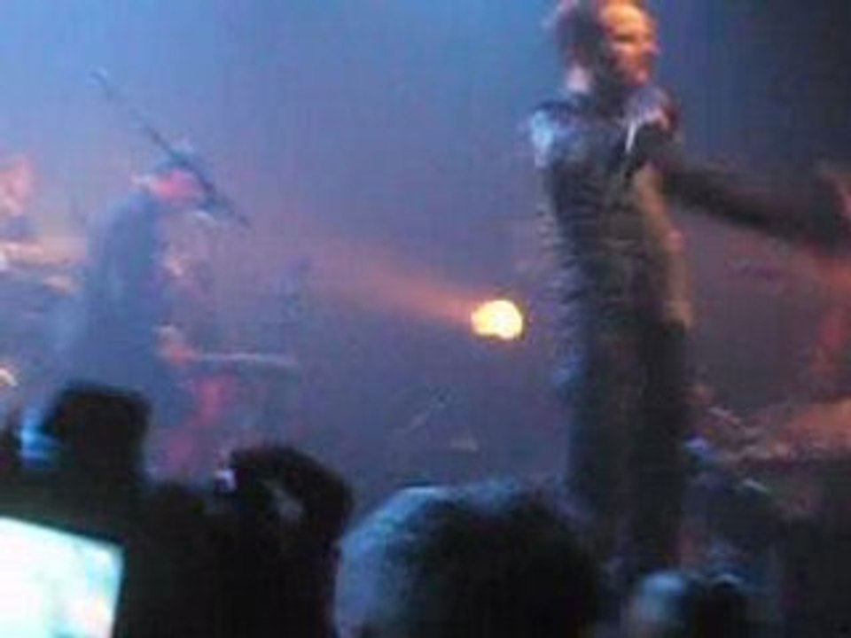 la métamorphose de mister chat