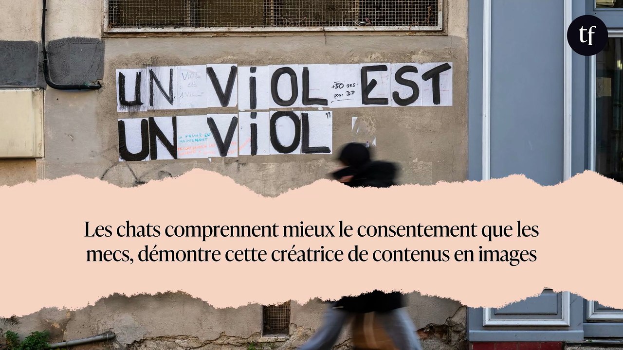 Les chats comprennent mieux le consentement que les mecs, démontre cette créatrice de contenus en images