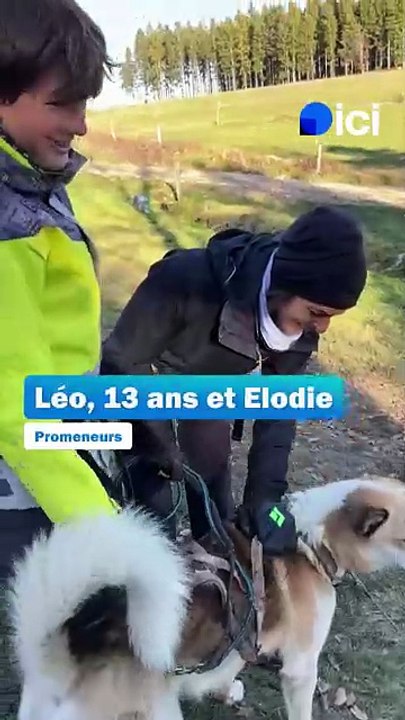 Le succès des cani-randos dans la Loire