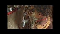 We Feed the World, le marché de la faim (2005) - Bande annonce