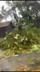 Chuvas causam alagamentos em Jaraguá do Sul